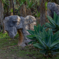 Камень с характером грустной собачки