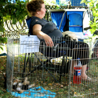 Распродажа