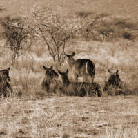 Всем на показ