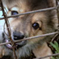 Поиграем, а ?