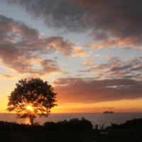 луч на исходе дня