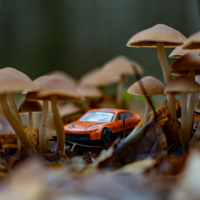 Дорогая, я уменьшил нашу машину.