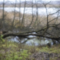 Озёрный край