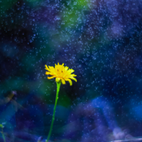 Дождливое утро