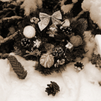 Под ёлочкой