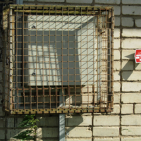 Клетки в клетке