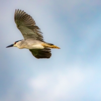 Хочу так летать