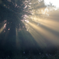 Летние лучи