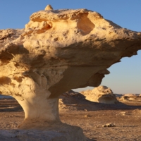 На тоненькой ножке