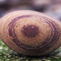 Подглядывающий