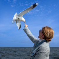 За бортом студёное море