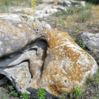 Оплавленный