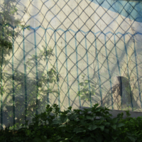 И в клетку и в полоску