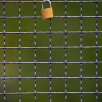 Ячейка общества