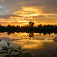 Золото заката