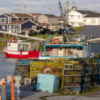 Промысловые