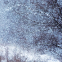 Мокрый снег ноября