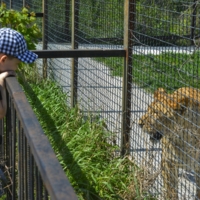 Эй, не стойте слишком близко!