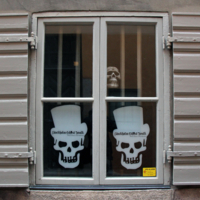 Из клетки на прогулку с призраками