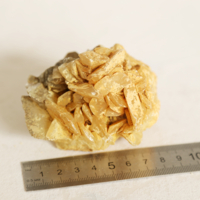 Роза пустыни