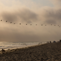 Над мирской суетой