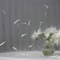 Прощание с пионами