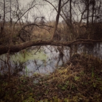 Вечность вода отражает