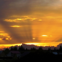 Оранжевый вечер