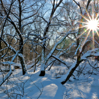Мороз и солнце - день чудесный...