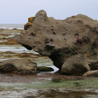 когда царевич не пришёл