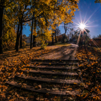 Парковая осень