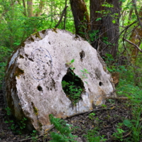 Кто потерял колечко?