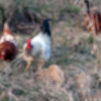 Третий лишний