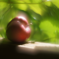 Яблоко наливное