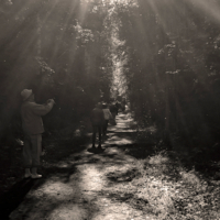 Солнечный душ