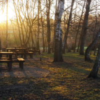 Ноябрьское утро.