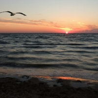 В утренних лучах...