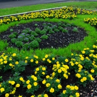 Цветочное кольцо