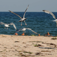 На посадку...