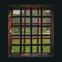 Клетка на клетке