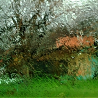 За пеленой дождя