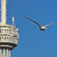 Летим к телевышке