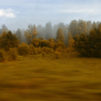 Дорогами Алтая