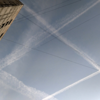 Соревнование клеток