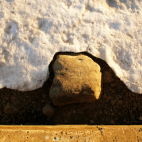 Передовой отряд весны