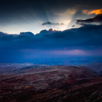 Бегство огненного льва