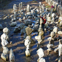 Да стой же ты