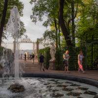 Летнему саду идет клетка!