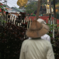 На волоске Будды