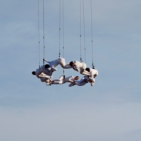 Воздушные гимнастки